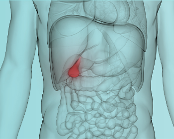 Homeopathic Medicine for Cervical Spondylitis and Lumbar Spondylitis