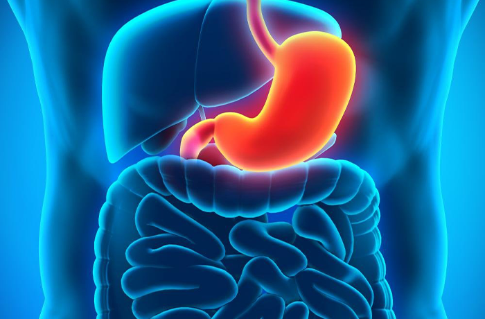 Homeopathy Doctors in Pammal