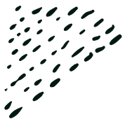 Homeopathic Treatment for Peptic Ulcer Disease in Pammal